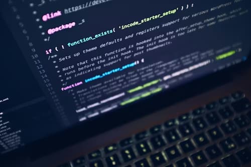 Decisión entre software estándar y medida