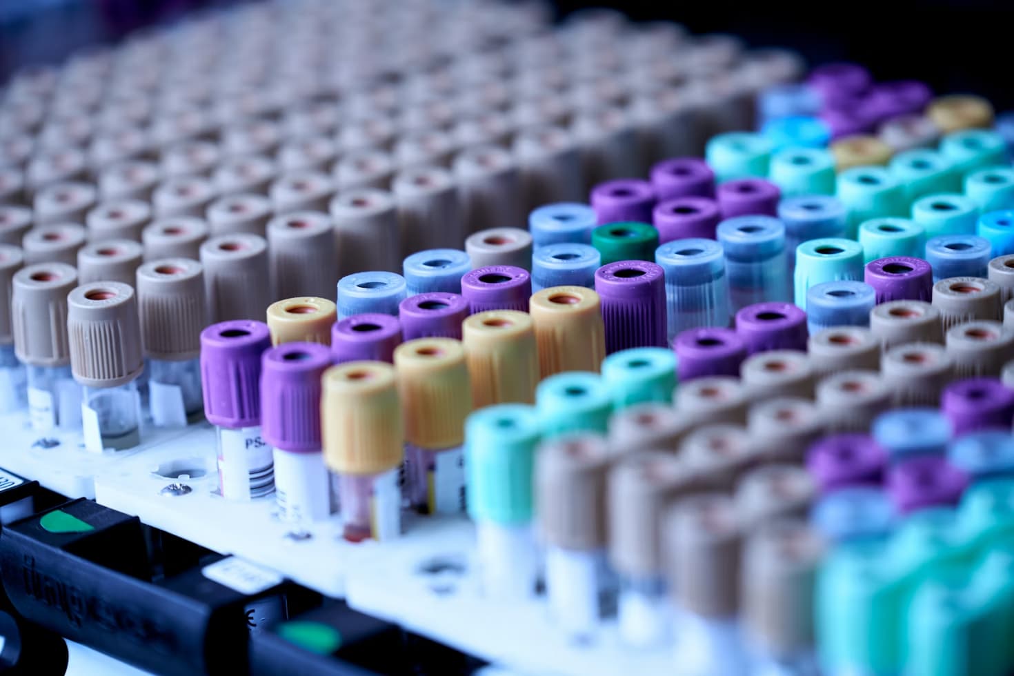 Lab formulación