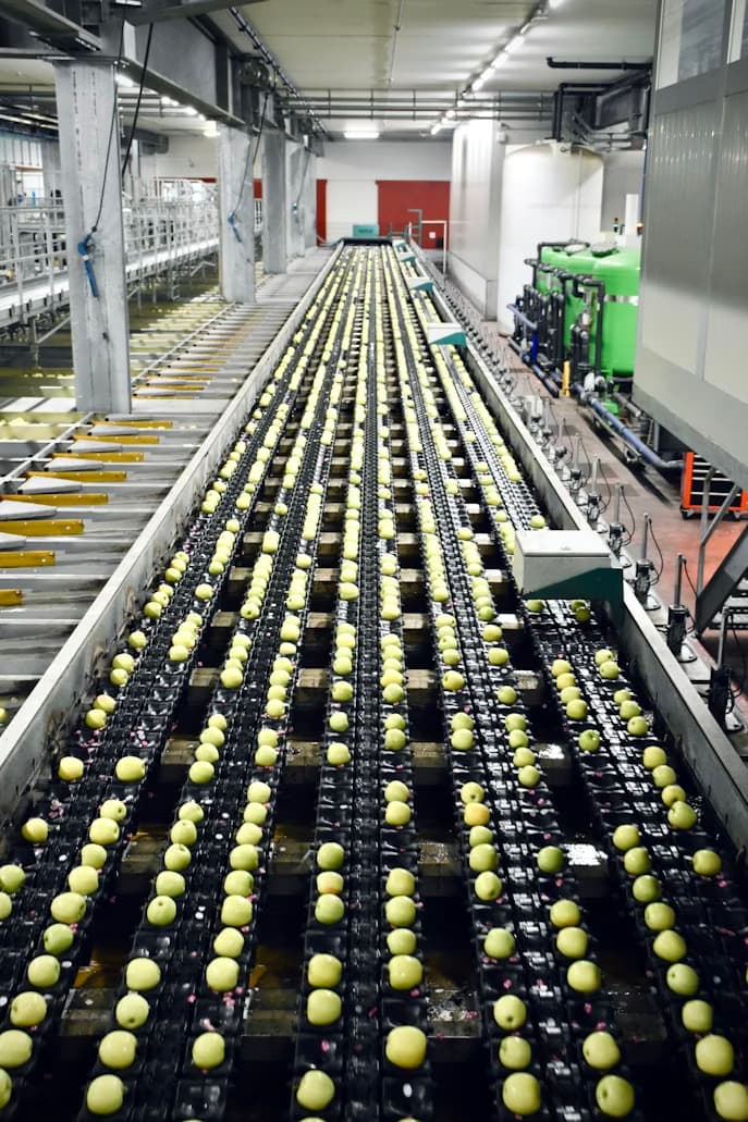 Línea de envasado con producto avanzando sobre bandas transportadoras en planta de cuidado personal