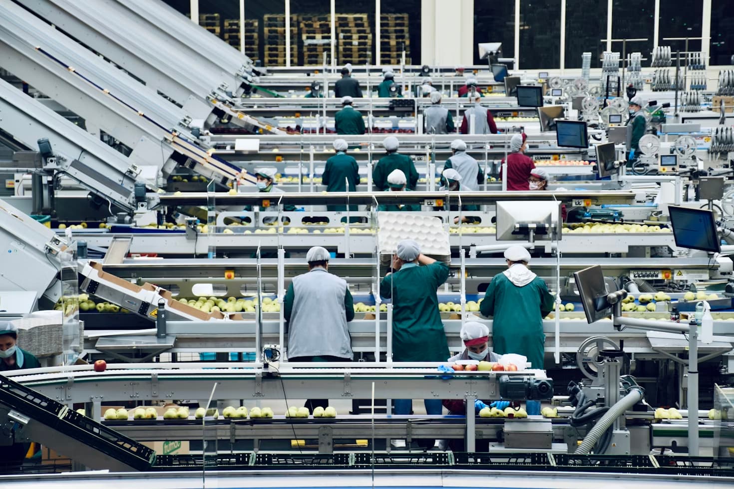 Línea de procesamiento de alimentos con personal en uniforme sanitario y bandas transportadoras
